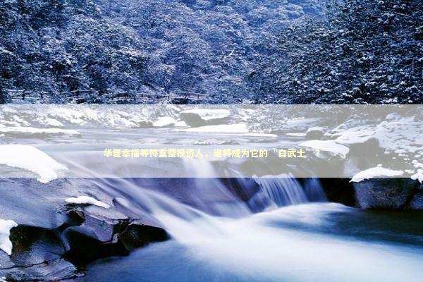 华夏幸福等待重整投资人，谁将成为它的“白武士”？