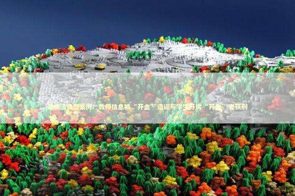 最高法典型案例：教师信息被“开盒”造谣与学生开房“开盒”者获刑