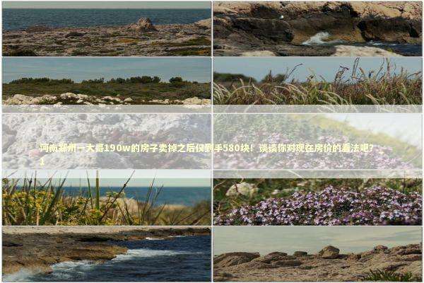 河南郑州一大哥190w的房子卖掉之后仅到手580块！谈谈你对现在房价的看法吧？_1