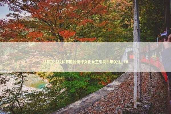 认识下这位私募圈的流行文化女王引发市场关注_16