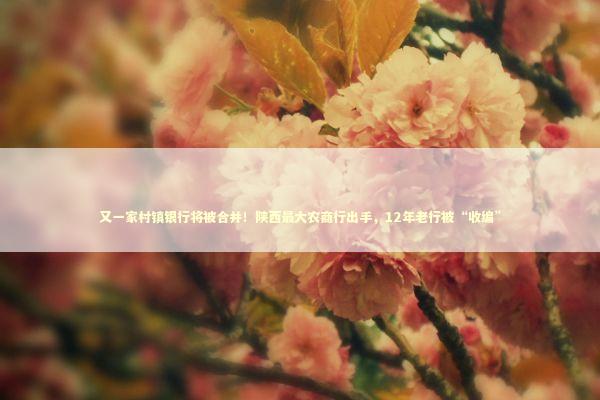 又一家村镇银行将被合并！陕西最大农商行出手，12年老行被“收编”