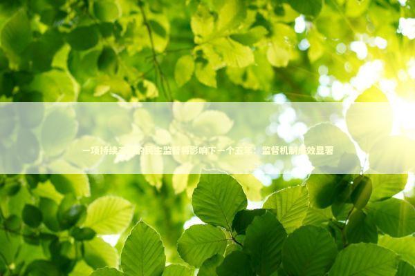 一项持续五年的民主监督将影响下一个五年：监督机制成效显著