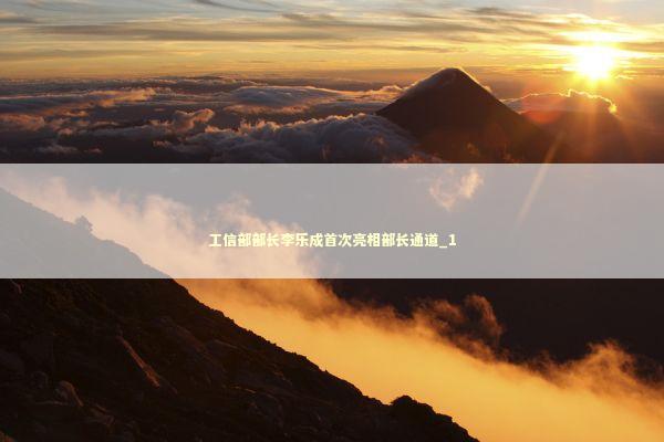 工信部部长李乐成首次亮相部长通道_1