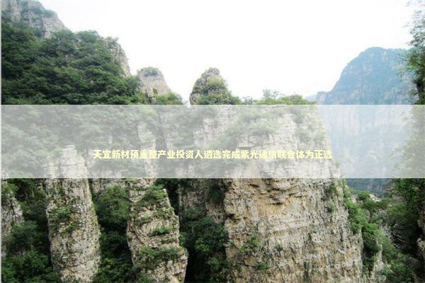 天宜新材预重整产业投资人遴选完成紫光通信联合体为正选