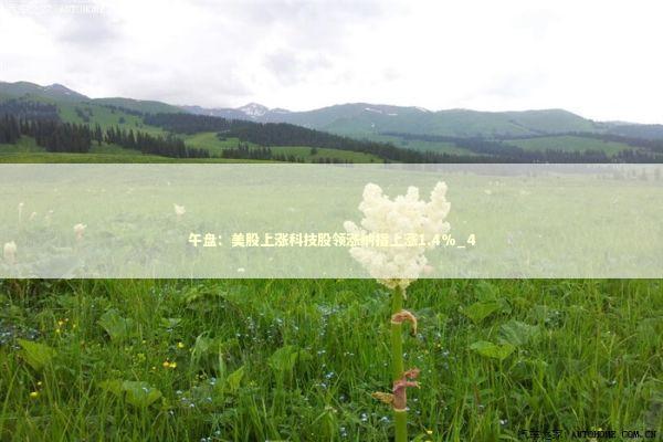 午盘：美股上涨科技股领涨纳指上涨1.4%_4