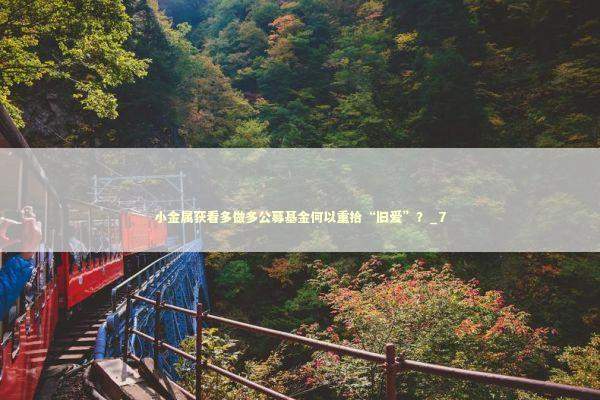 小金属获看多做多公募基金何以重拾“旧爱”？_7