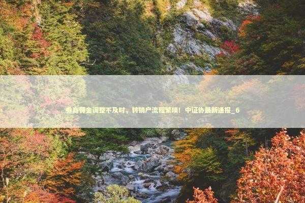 券商佣金调整不及时，转销户流程繁琐！中证协最新通报_6