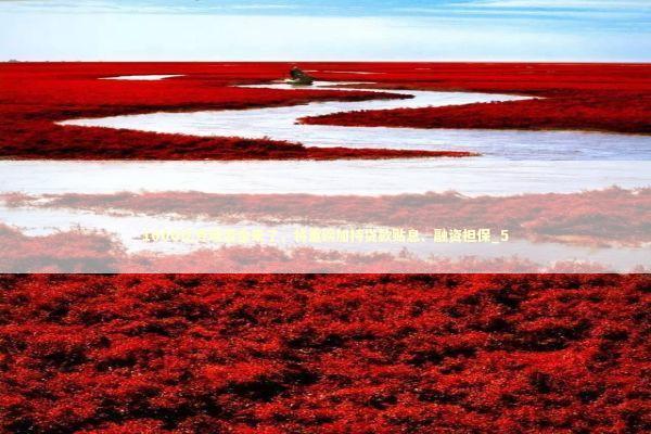 1000亿专项资金来了，将重磅加持贷款贴息、融资担保_5