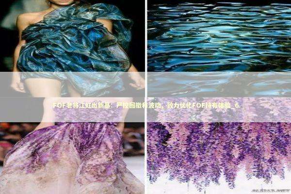 FOF老将江虹出新基：严控回撤和波动，致力优化FOF持有体验_6