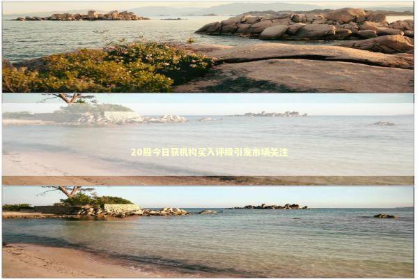 20股今日获机构买入评级引发市场关注