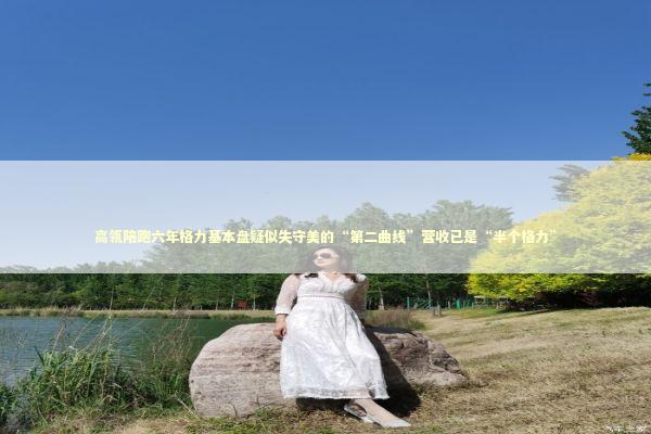 高瓴陪跑六年格力基本盘疑似失守美的“第二曲线”营收已是“半个格力”