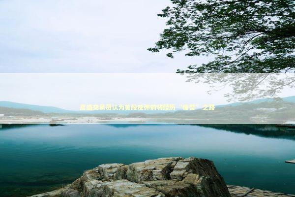 高盛交易员认为美股反弹前将经历“痛苦”之路