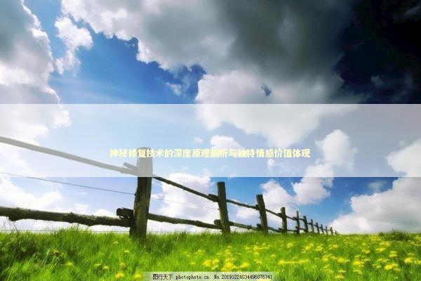 神秘修复技术的深度原理剖析与独特情感价值体现
